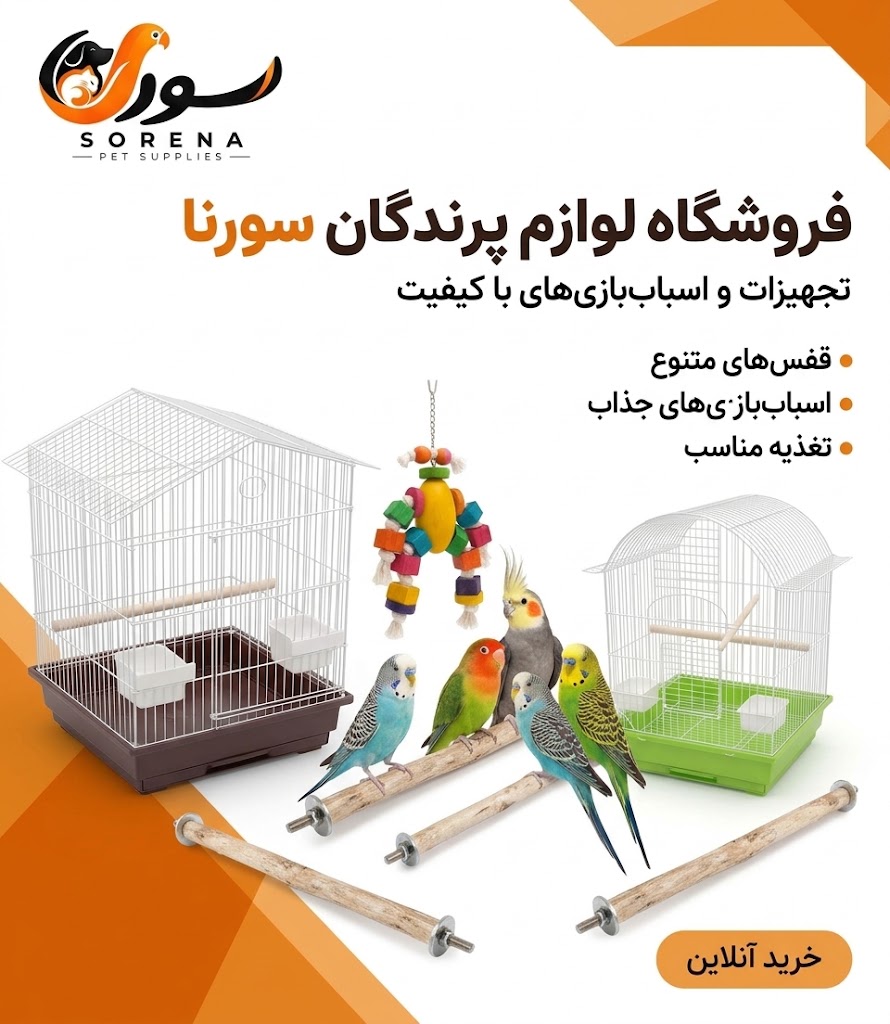 اسلاید 7