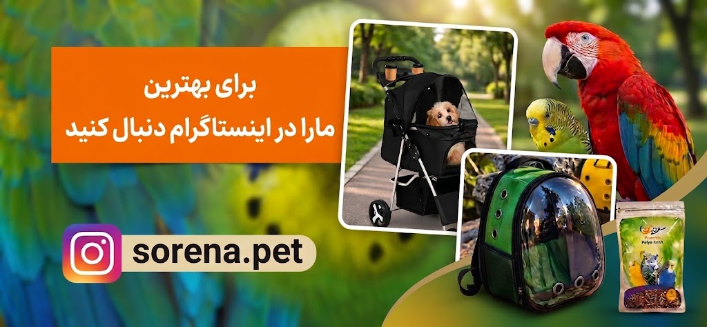اسلاید 8